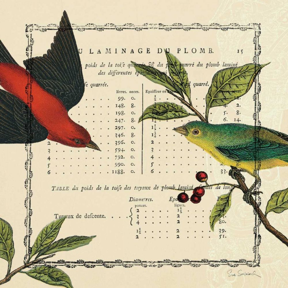 Summer Pages I art print by Sue Schlabach for $57.95 CAD