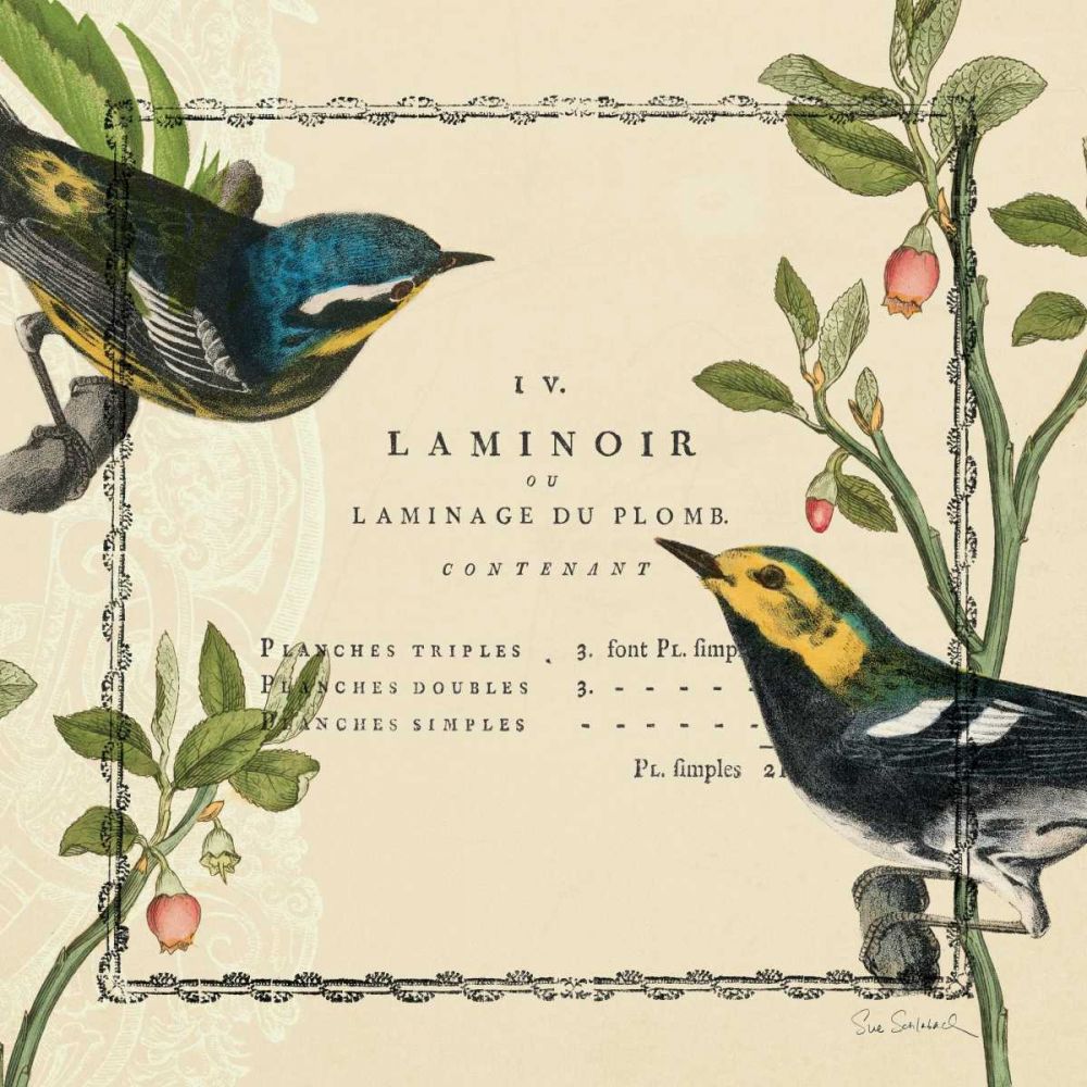 Summer Pages II art print by Sue Schlabach for $57.95 CAD