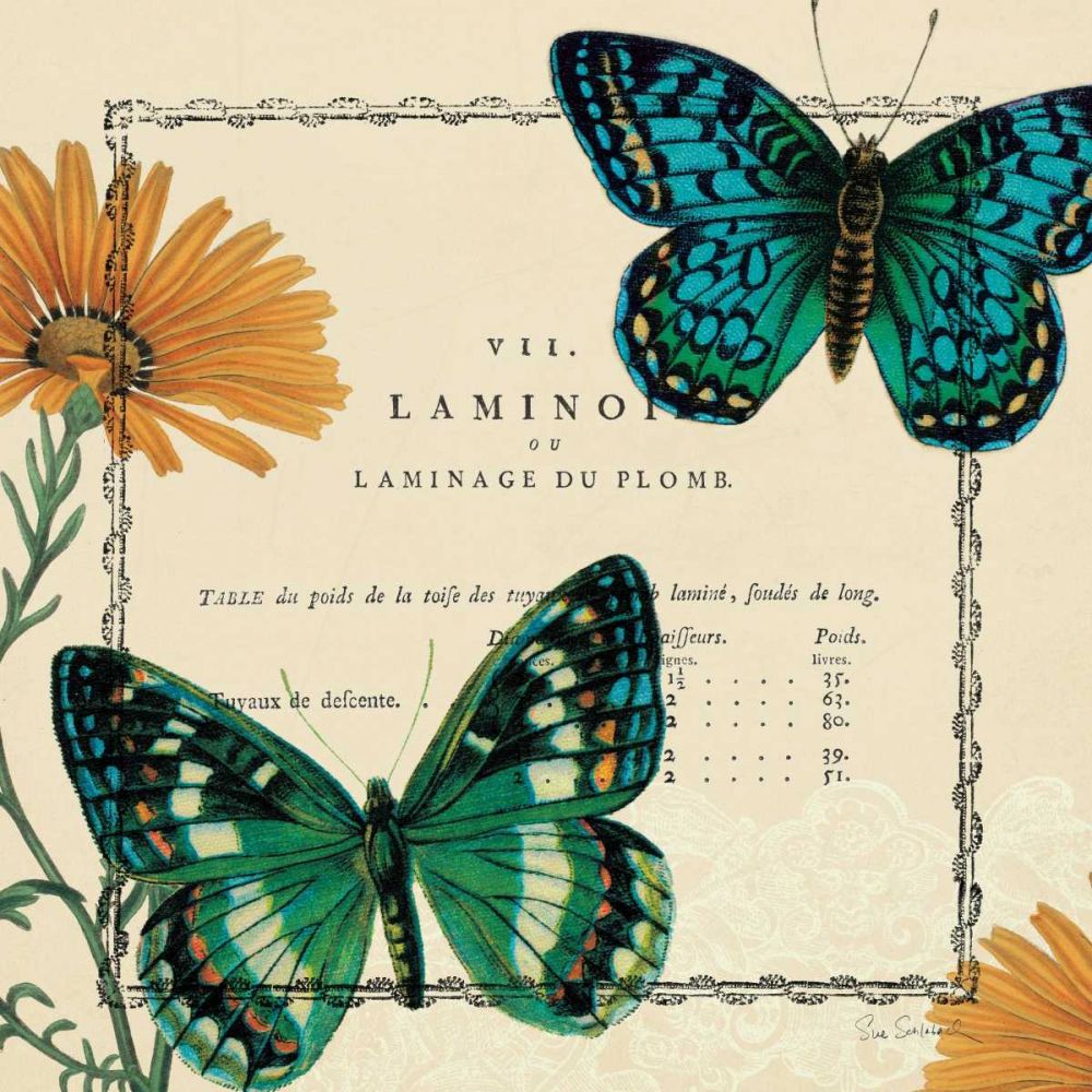 Summer Pages III art print by Sue Schlabach for $57.95 CAD