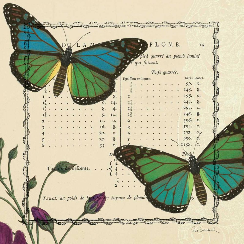 Summer Pages IV art print by Sue Schlabach for $57.95 CAD