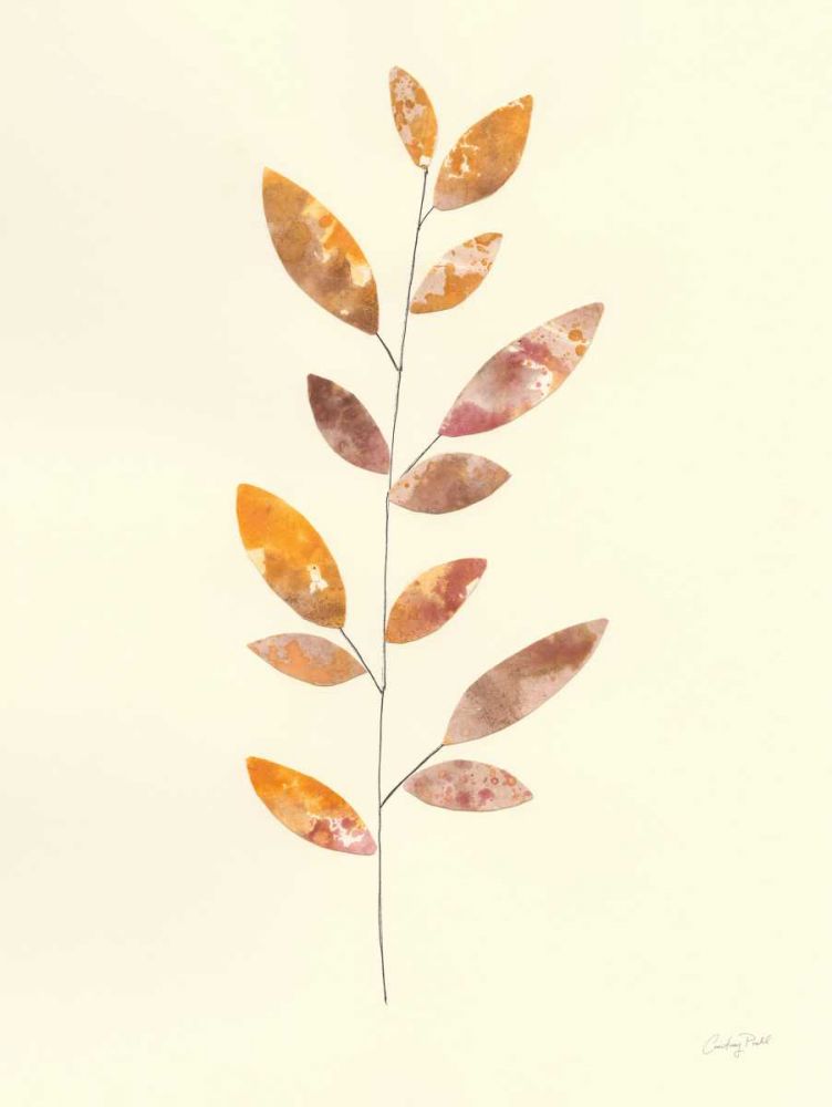 Natural Wonder V art print by Courtney Prahl for $57.95 CAD