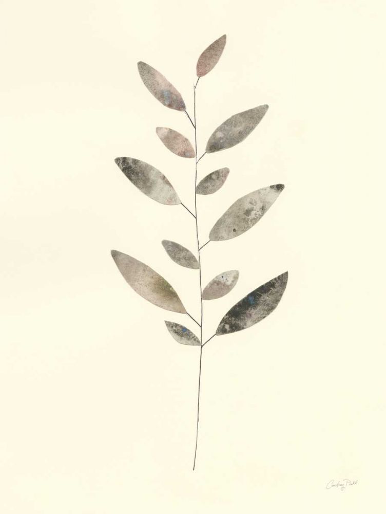 Natural Wonder VI art print by Courtney Prahl for $57.95 CAD