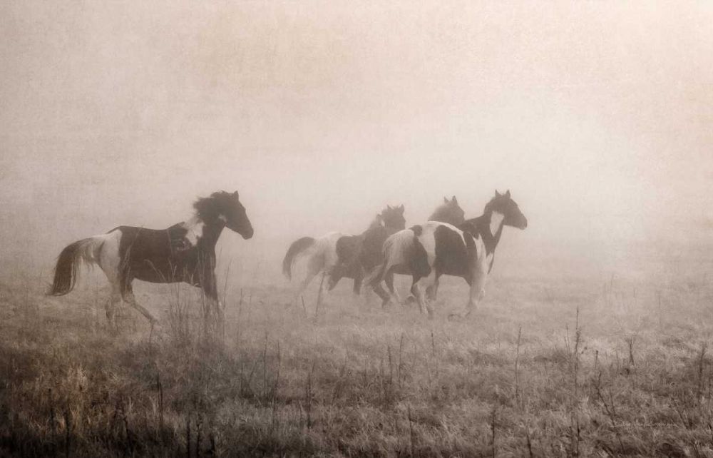 Paint Horses on the Run art print by Debra Van Swearingen for $57.95 CAD