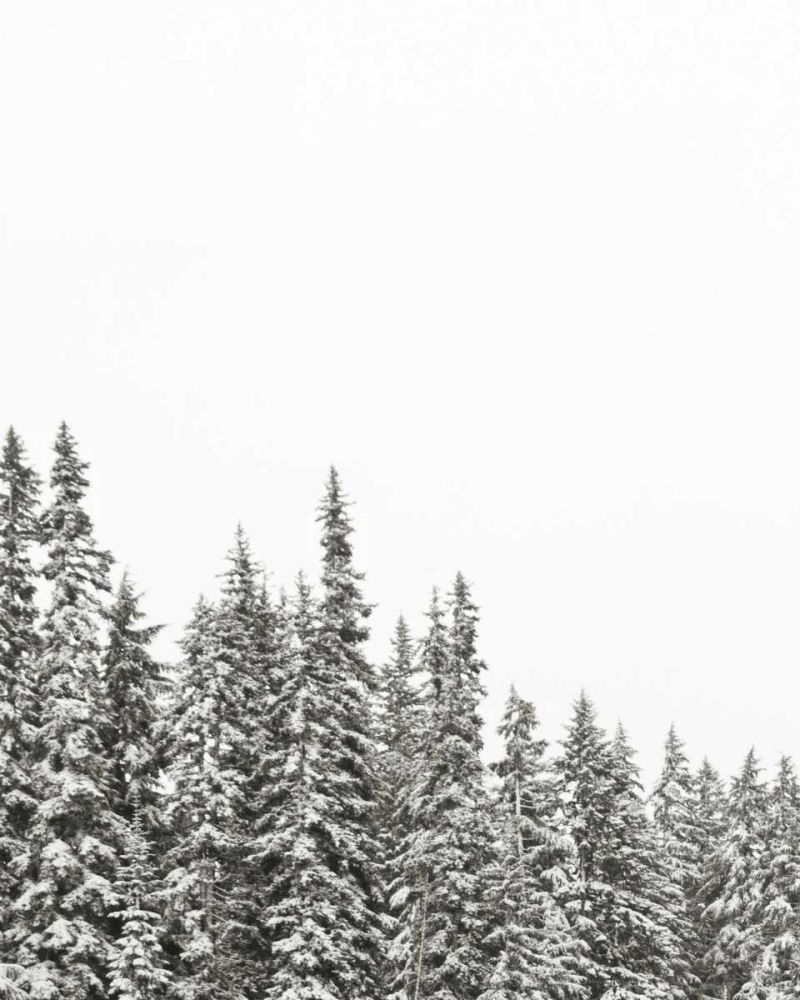 Gold Lake Trees art print by Laura Marshall for $57.95 CAD