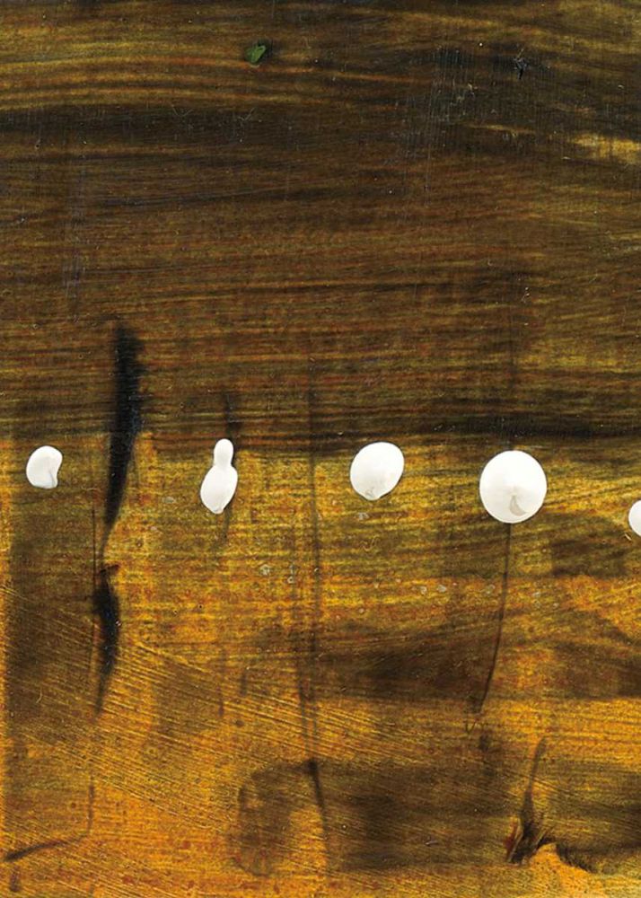 Tolkens of Today X art print by Piper Rhue for $57.95 CAD