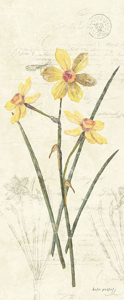 Daffodil Panel art print by Katie Pertiet for $57.95 CAD