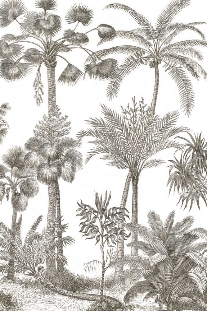 Palm Oasis II art print by Wild Apple Portfolio for $57.95 CAD