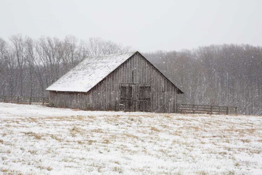 First Snow art print by Aledanda for $57.95 CAD