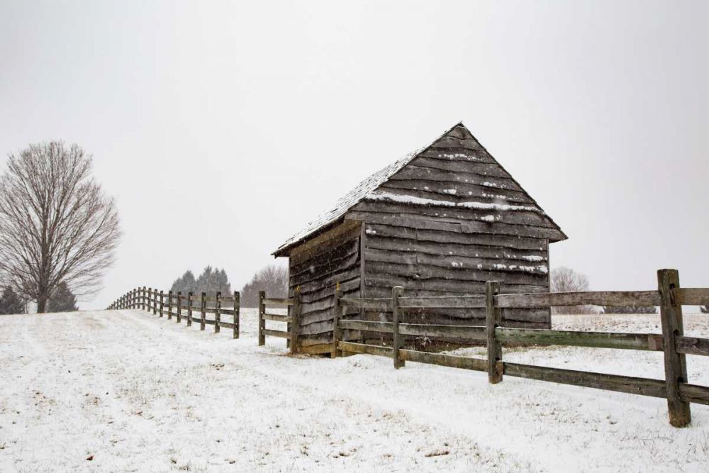 Coming to the Barn art print by Aledanda for $57.95 CAD