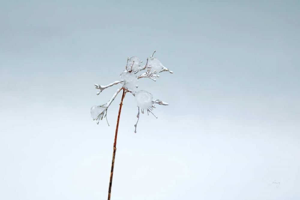 Diamonds in Winter II art print by Felicity Bradley for $57.95 CAD