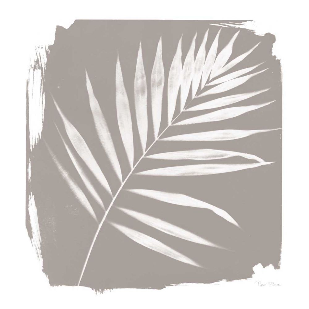 Nature By The Lake - Frond II Sq art print by Piper Rhue for $57.95 CAD