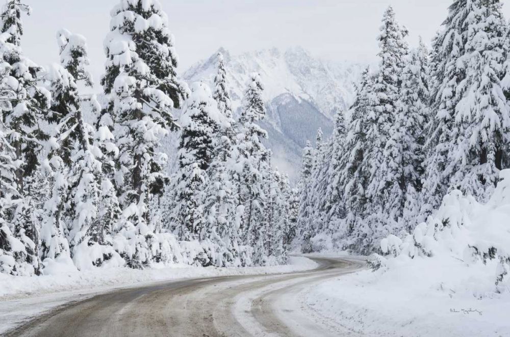 Mount Baker Highway I art print by Alan Majchrowicz for $57.95 CAD