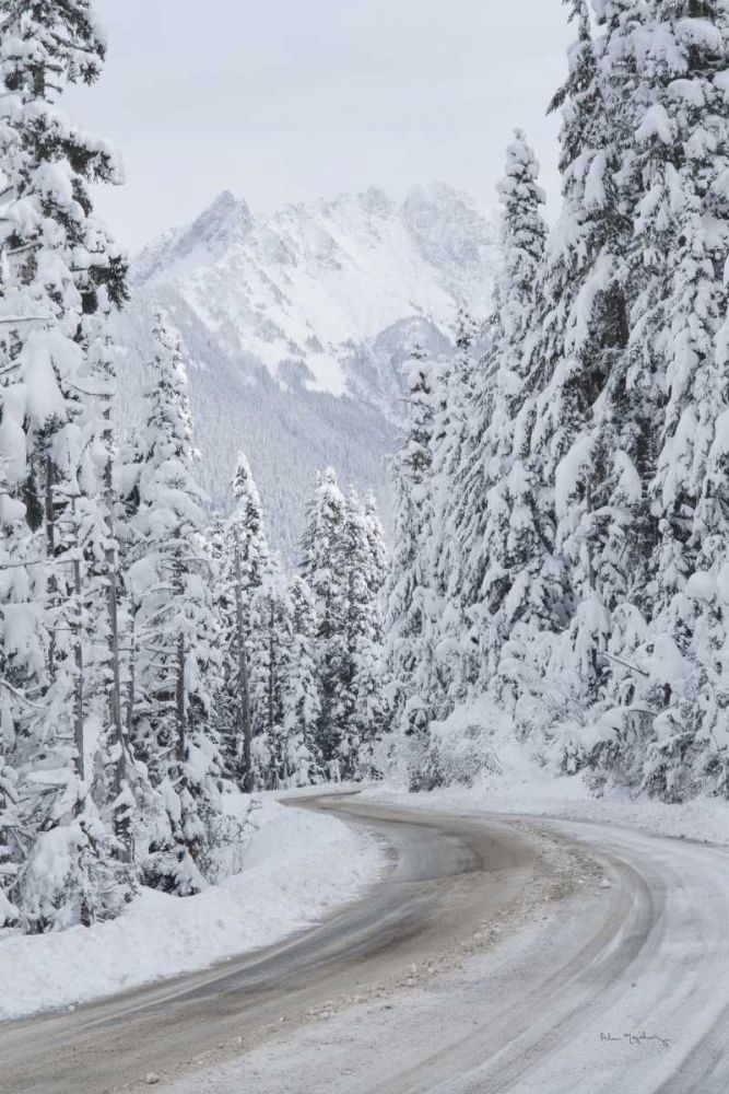 Mount Baker Highway II art print by Alan Majchrowicz for $57.95 CAD