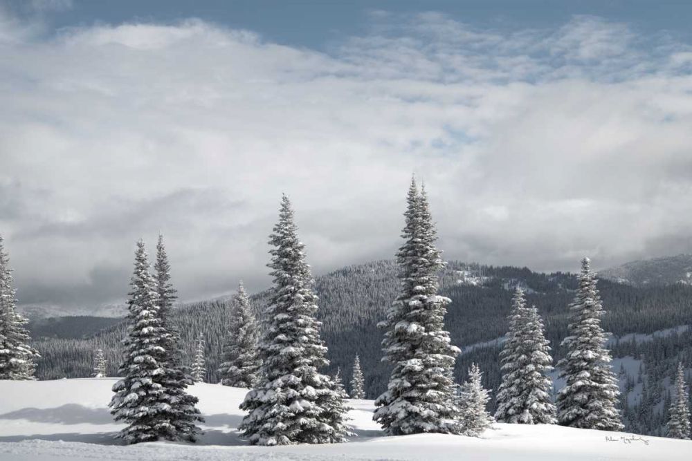 North Cascades in Winter II art print by Alan Majchrowicz for $57.95 CAD
