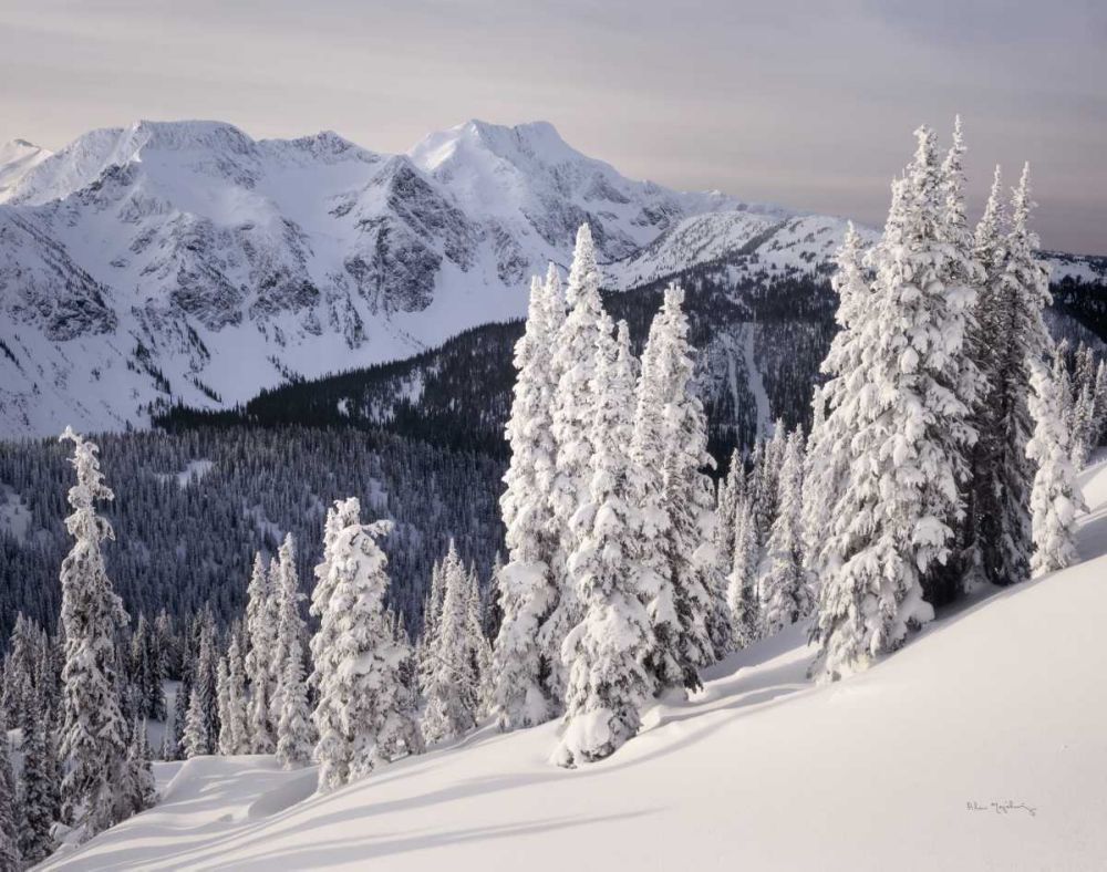 Cariboo Mountains art print by Alan Majchrowicz for $57.95 CAD