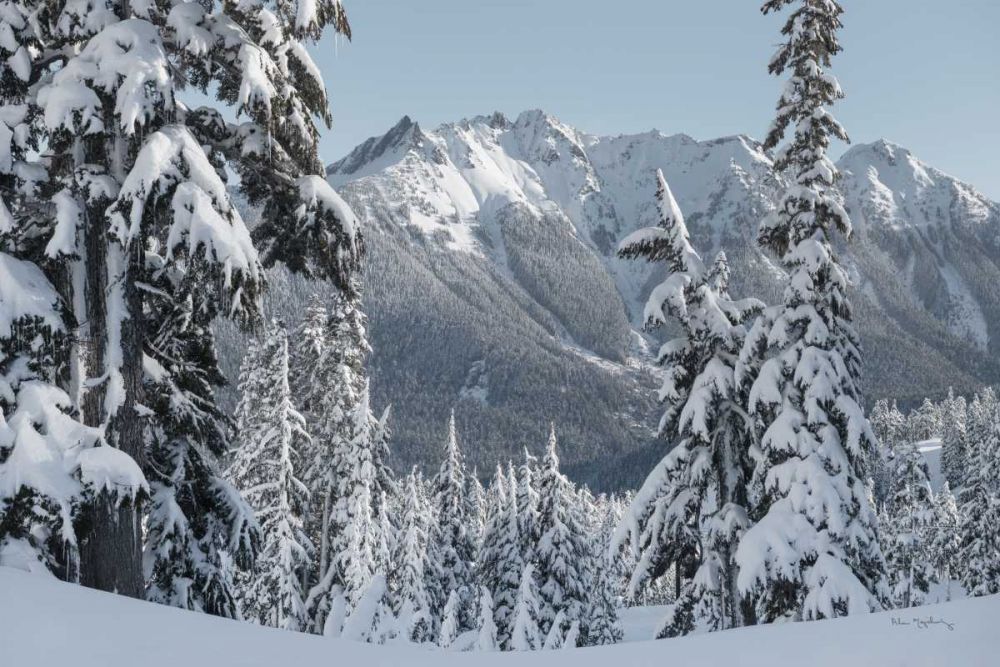 Nooksack Ridge in Winter art print by Alan Majchrowicz for $57.95 CAD