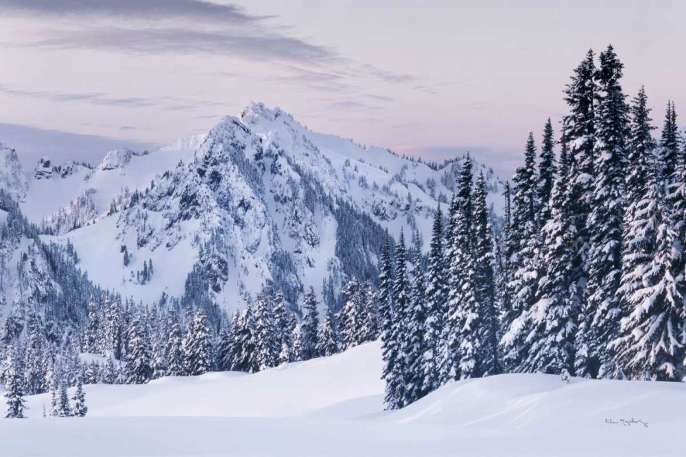 Tatoosh Range art print by Alan Majchrowicz for $57.95 CAD