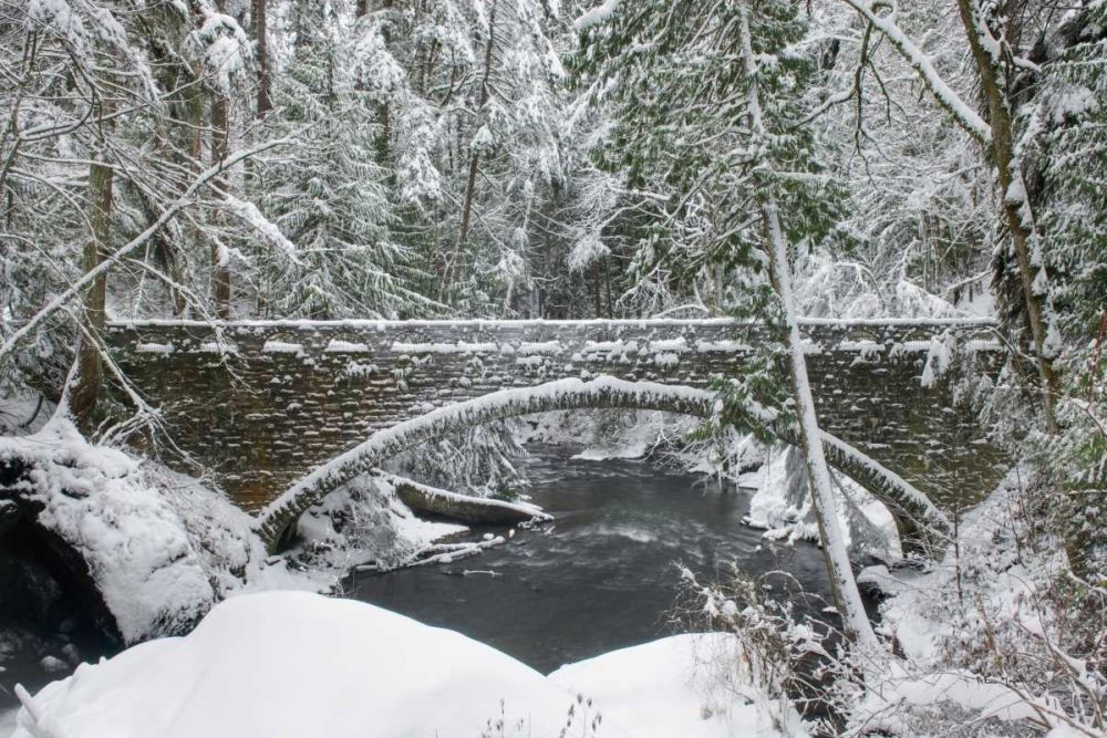 Whatcom Creek Bridge art print by Alan Majchrowicz for $57.95 CAD