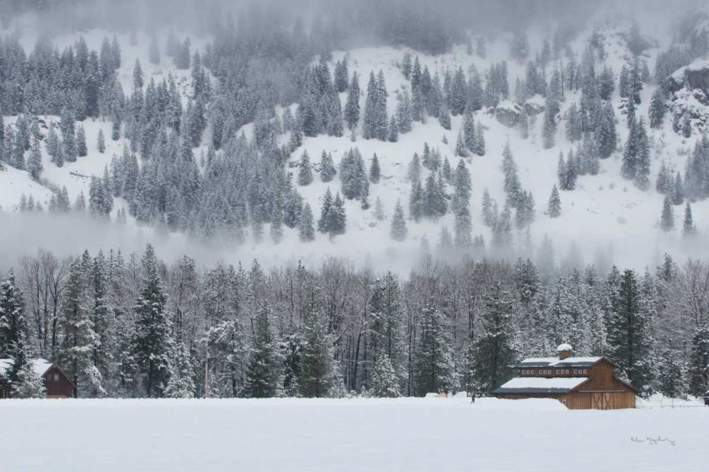 Methow Valley Barn art print by Alan Majchrowicz for $57.95 CAD