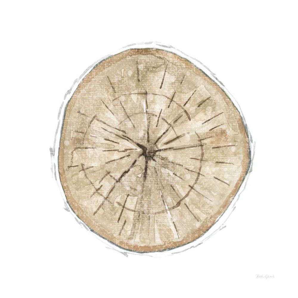 Natures Leaves VI art print by Beth Grove for $57.95 CAD