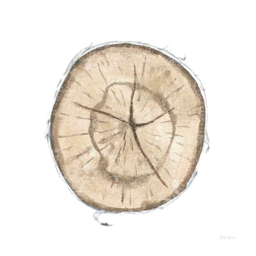 Natures Leaves VII art print by Beth Grove for $57.95 CAD