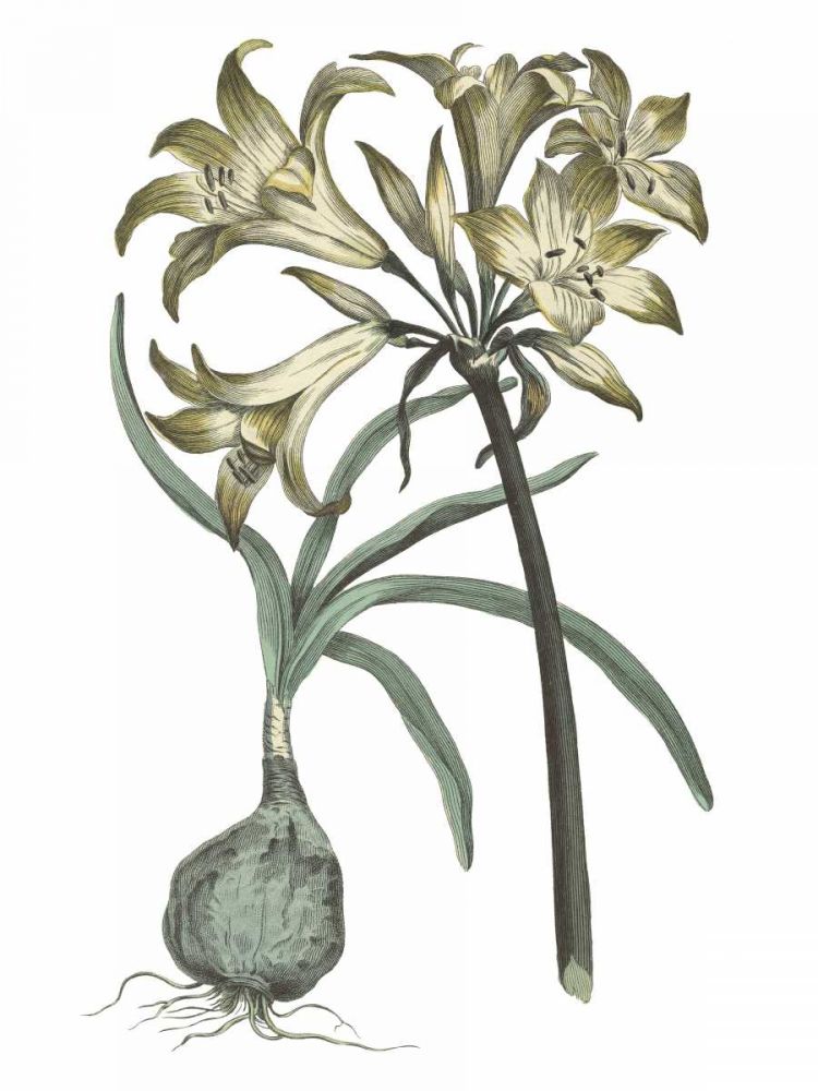 Vintage Floral I Cool art print by Wild Apple Portfolio for $57.95 CAD