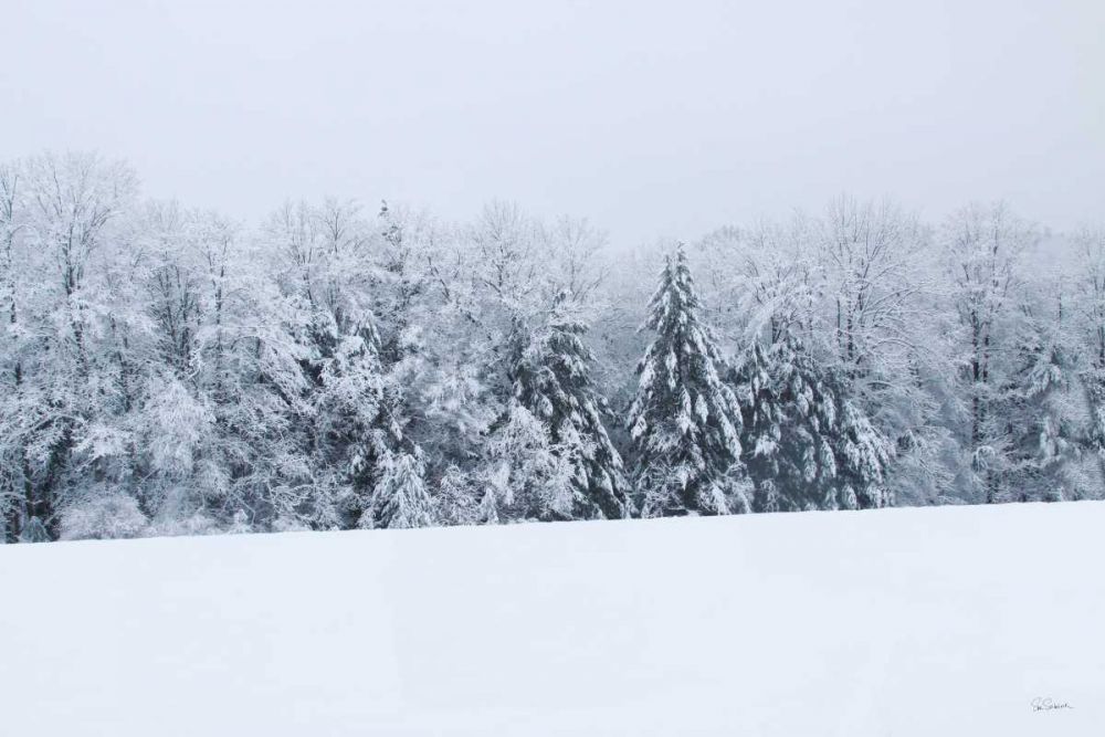 Snowshoe Hill art print by Sue Schlabach for $57.95 CAD