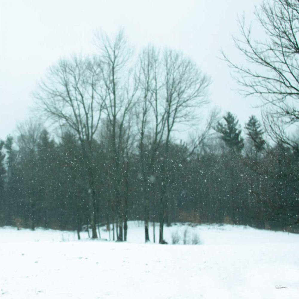 Snowfall art print by Sue Schlabach for $57.95 CAD