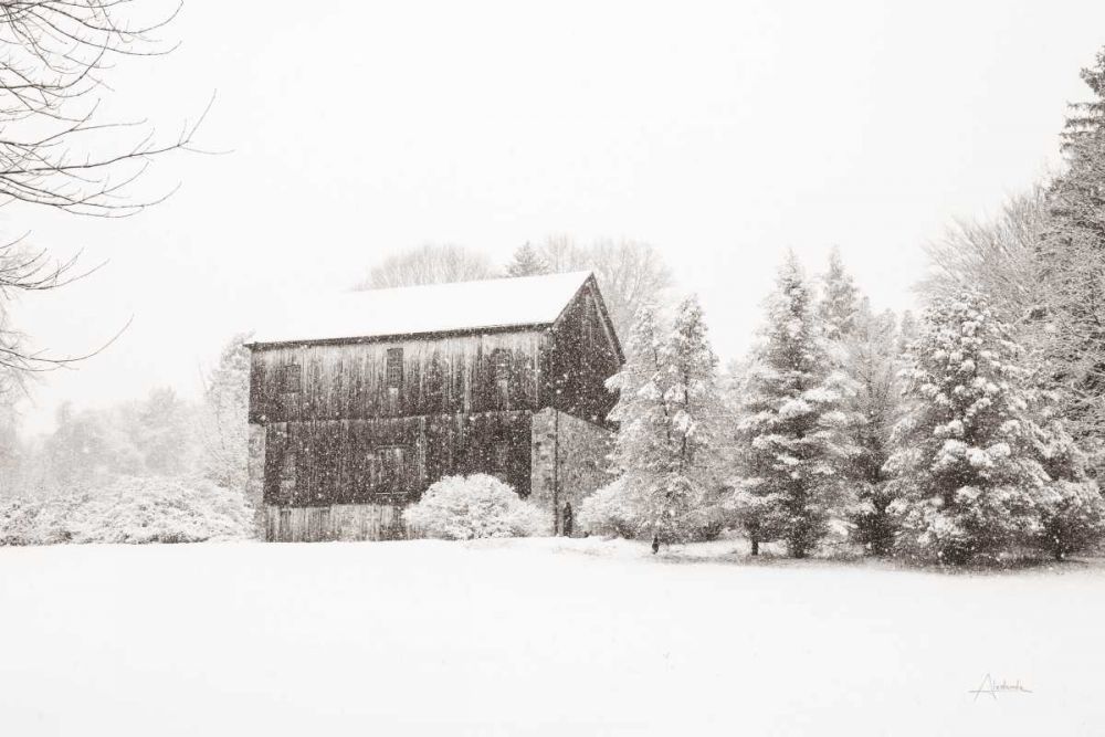 First Snow BW Crop art print by Aledanda for $57.95 CAD