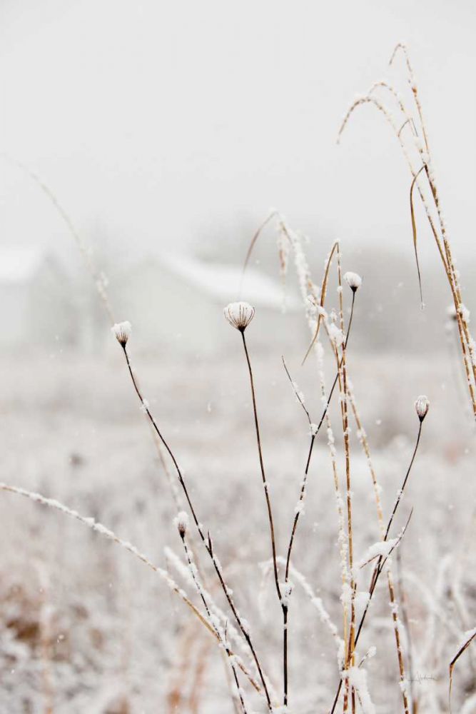 Early Snow art print by Aledanda for $57.95 CAD