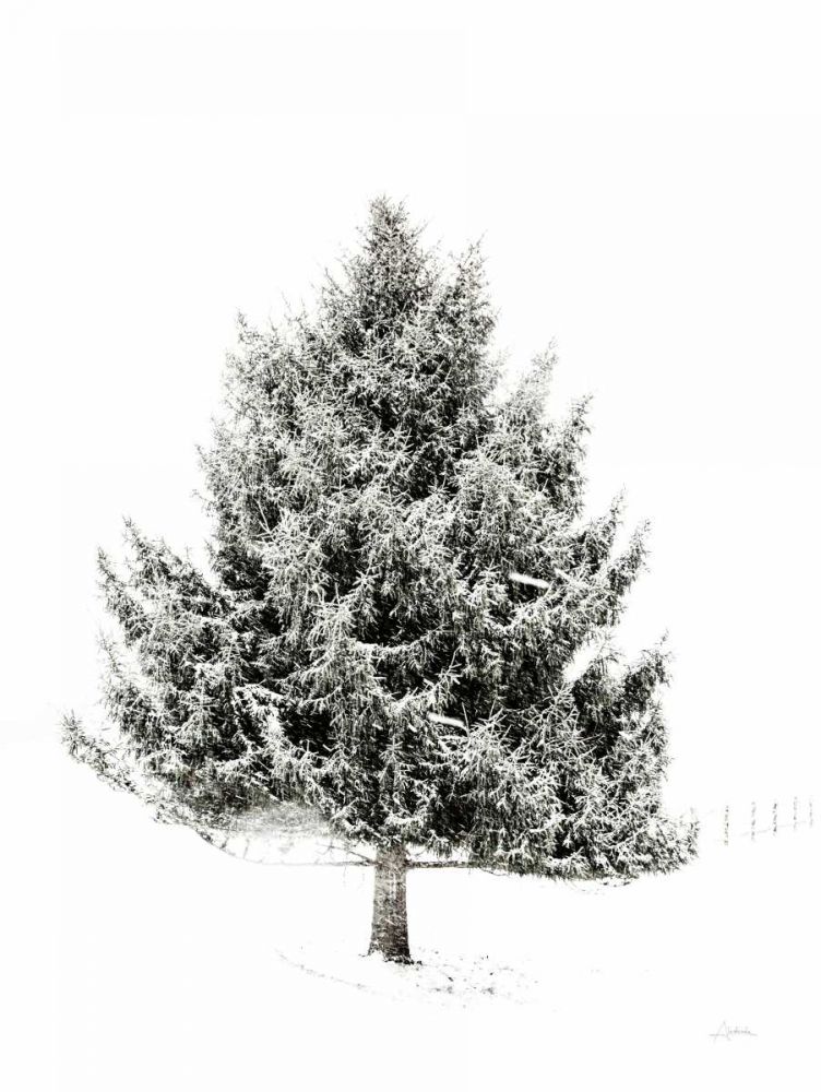 Lone Pine art print by Aledanda for $57.95 CAD