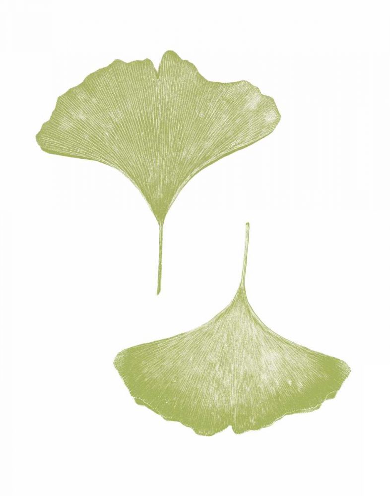 Renew on White art print by Wild Apple Portfolio for $57.95 CAD