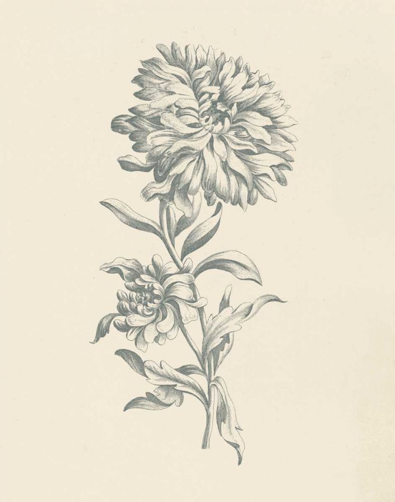Eden Floral I art print by Wild Apple Portfolio for $57.95 CAD