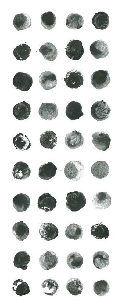 Markmaking Panel II art print by Melissa Averinos for $57.95 CAD