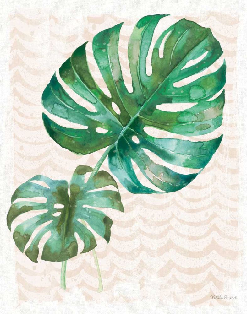 From the Jungle VIII No Pink Words art print by Beth Grove for $57.95 CAD