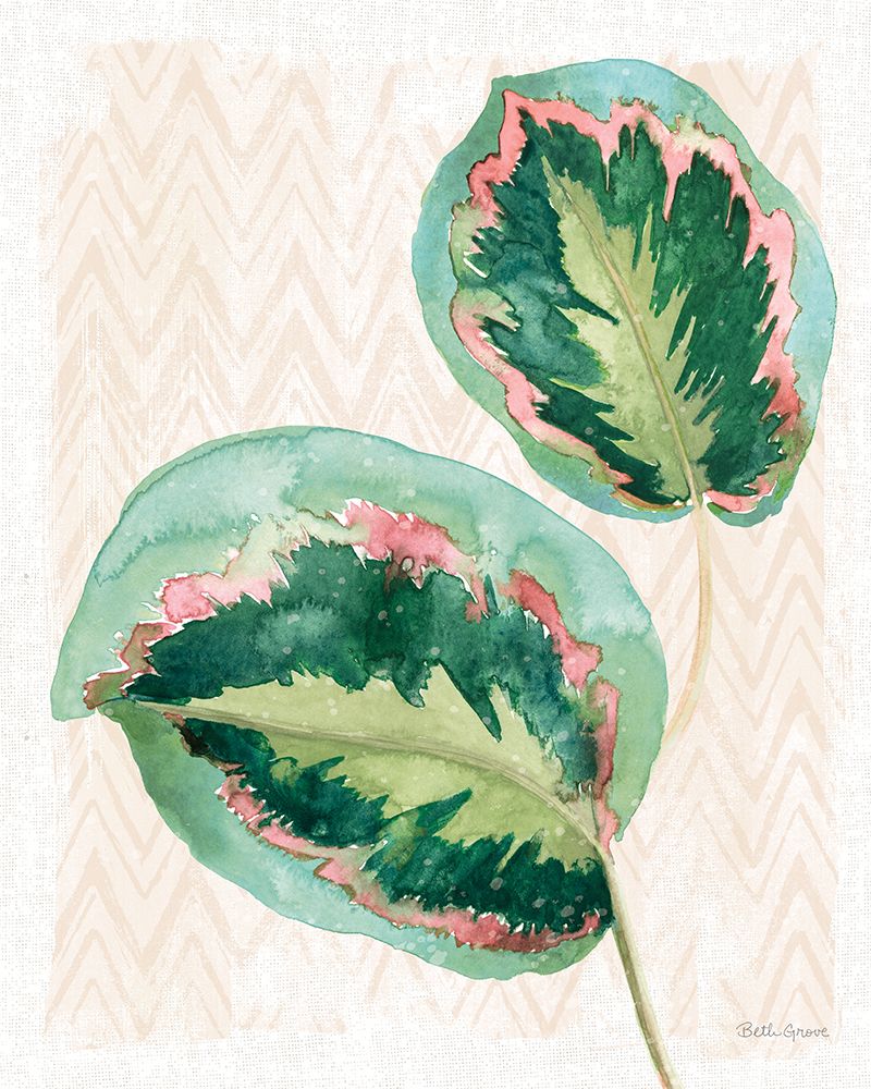 From the Jungle XI No Words art print by Beth Grove for $57.95 CAD