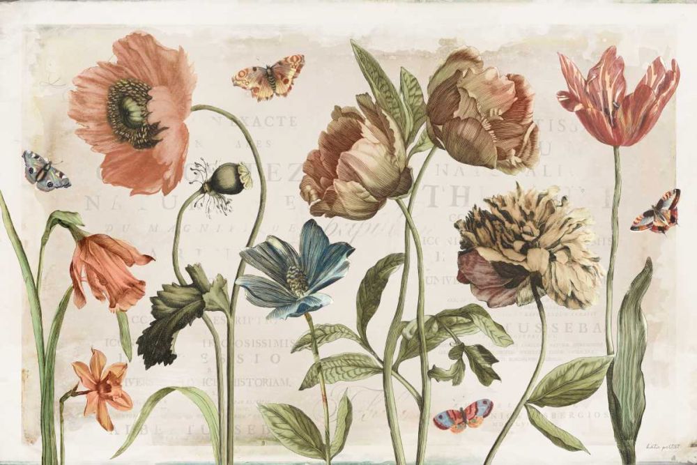 Antiquarian Blooms I art print by Katie Pertiet for $57.95 CAD
