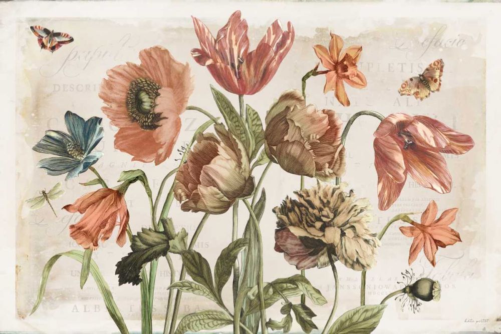 Antiquarian Blooms II art print by Katie Pertiet for $57.95 CAD