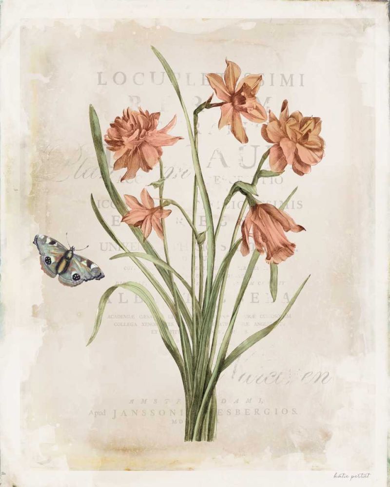 Antiquarian Blooms V art print by Katie Pertiet for $57.95 CAD