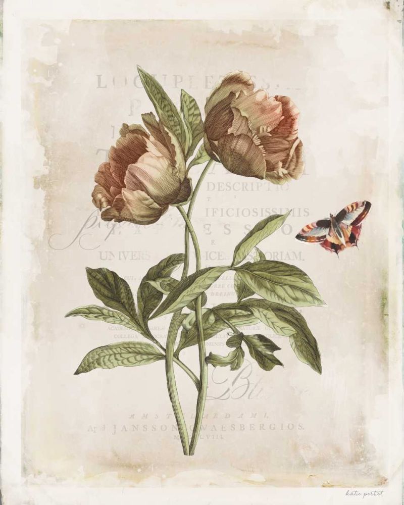 Antiquarian Blooms VI art print by Katie Pertiet for $57.95 CAD