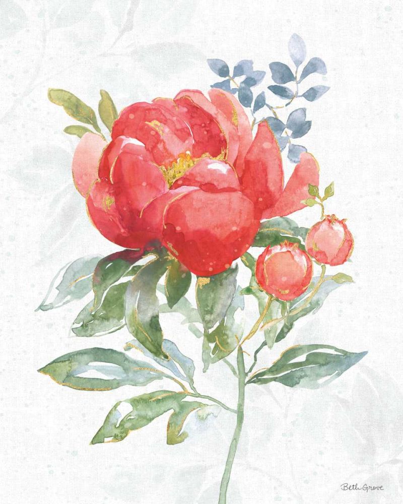 Floral Focus VII art print by Beth Grove for $57.95 CAD