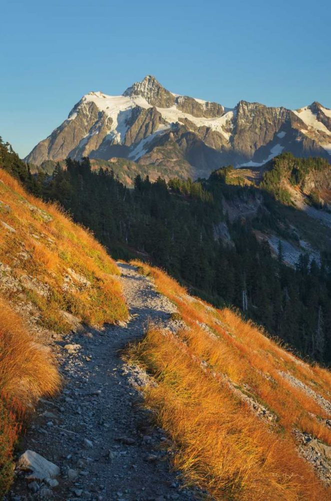 Mount Shuksan North Cascades art print by Alan Majchrowicz for $57.95 CAD