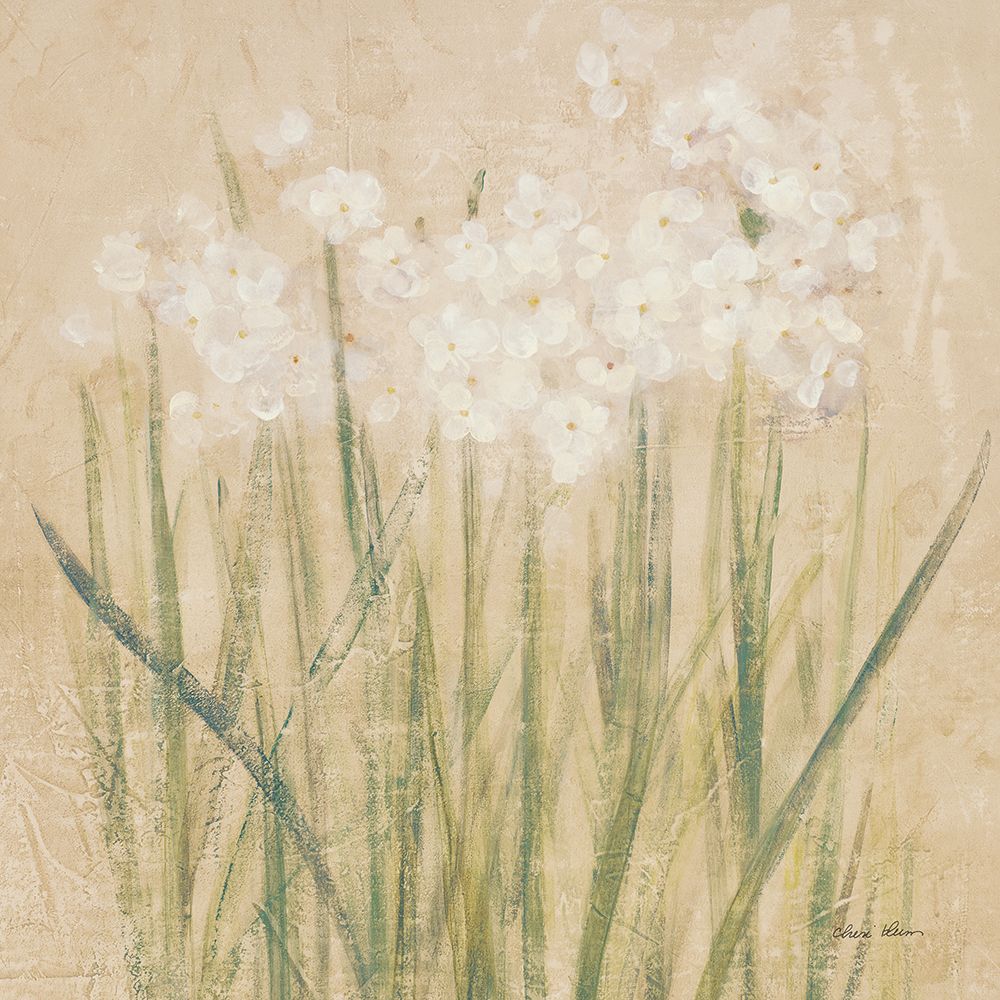 Narcissus Square art print by Cheri Blum for $57.95 CAD