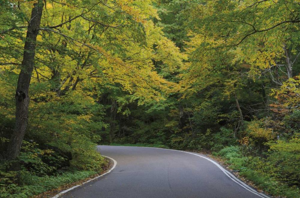 Smugglers Notch Road art print by Alan Majchrowicz for $57.95 CAD