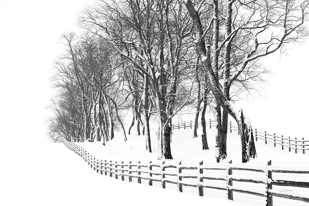 Winter Wonderland art print by Aledanda for $57.95 CAD