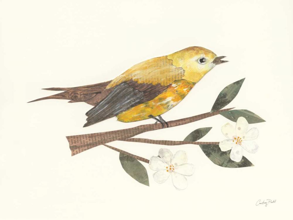 Birds and Blossoms I art print by Courtney Prahl for $57.95 CAD