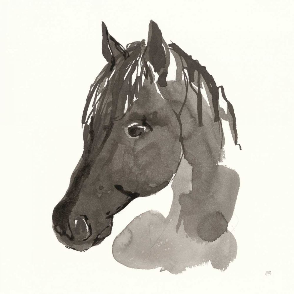 Horse Portrait II art print by Chris Paschke for $57.95 CAD