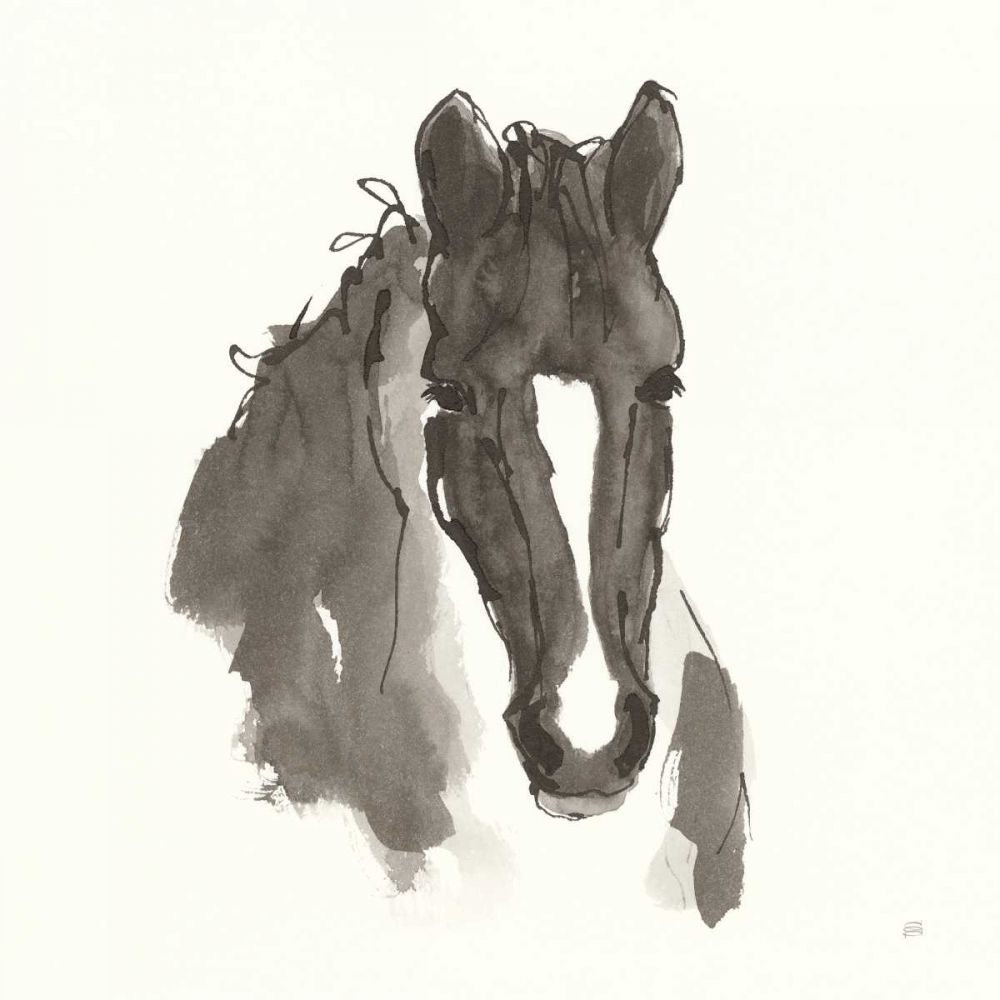 Horse Portrait III art print by Chris Paschke for $57.95 CAD