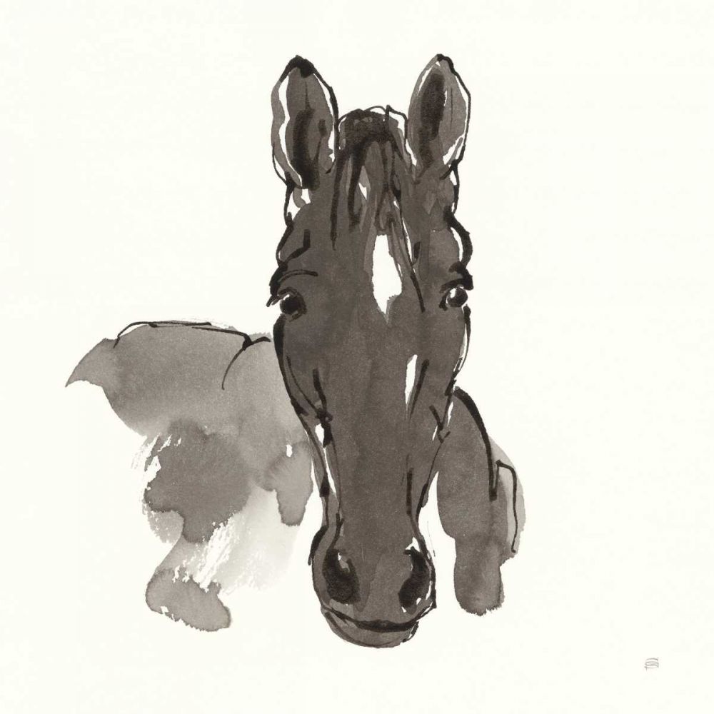 Horse Portrait IV art print by Chris Paschke for $57.95 CAD