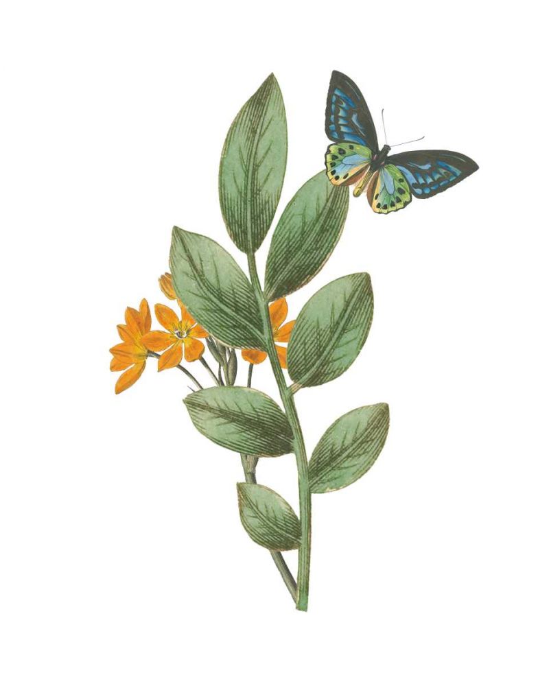 Greenery Butterflies I art print by Wild Apple Portfolio for $57.95 CAD